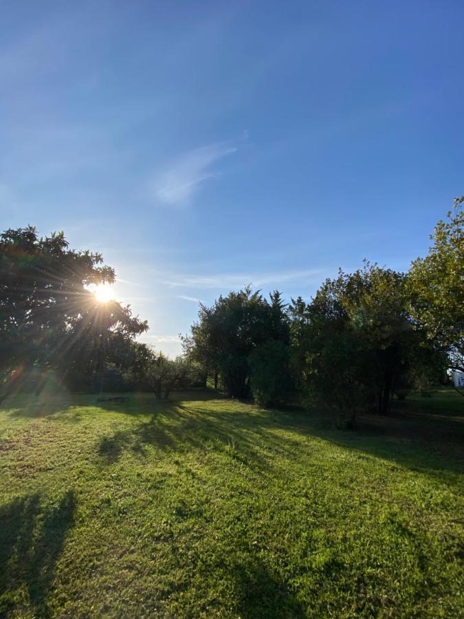 Studio Climatise Dans Un Ancien Domaine Viticole Montpellier Dış mekan fotoğraf